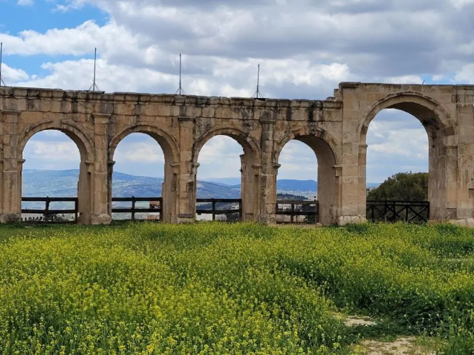 بيت الطبيعة nature house