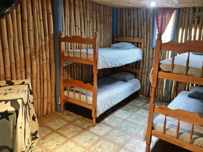 Bed in Dorm