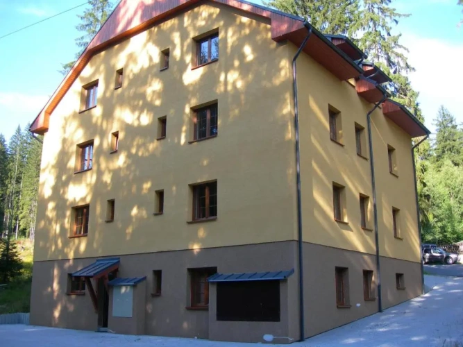Basement Apartment