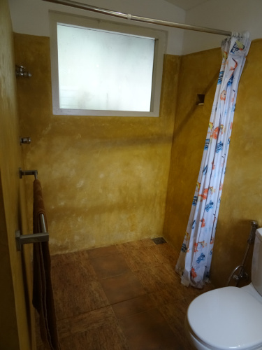 Standard Double room with pool view