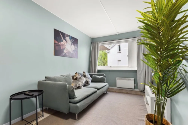 Classic Apartment