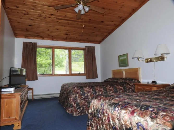 Standard Suite