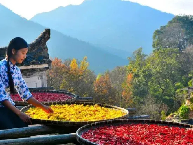 Shenhuangyuan Hostel