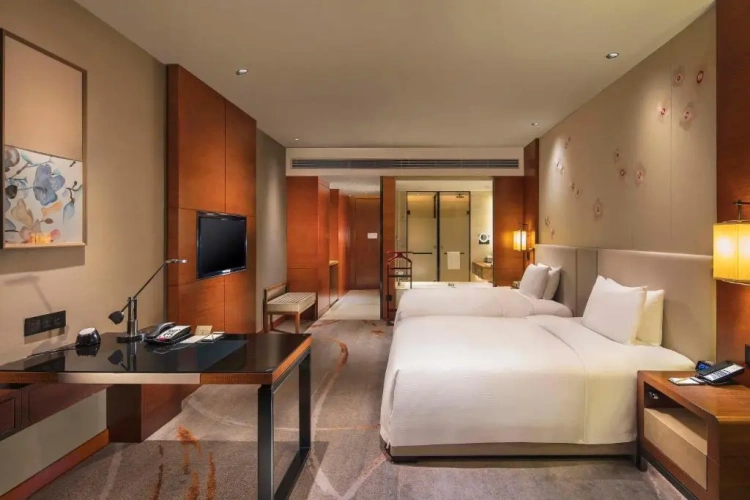 Deluxe Twin room with lake view