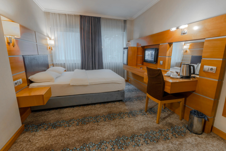 Ankara Plaza HotelOver view