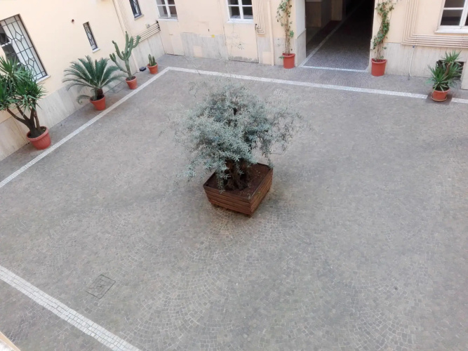 Laterano White Home - Colosseo
