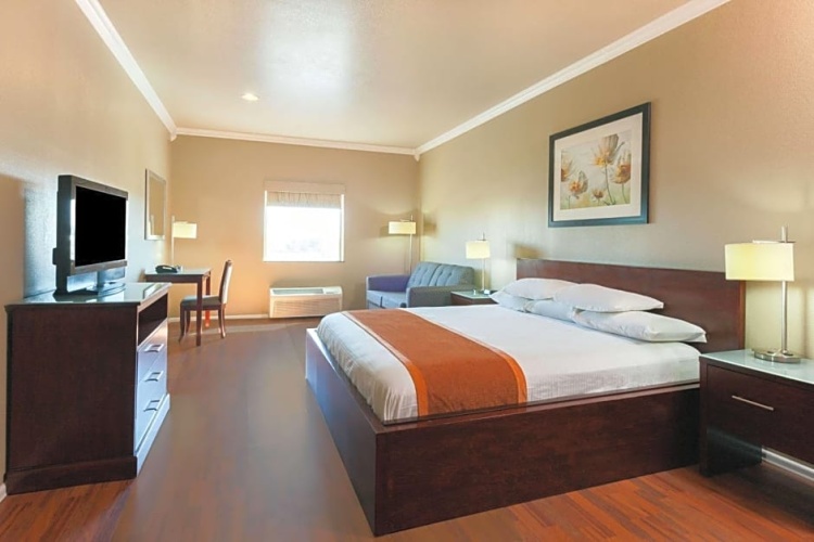 Single Suite