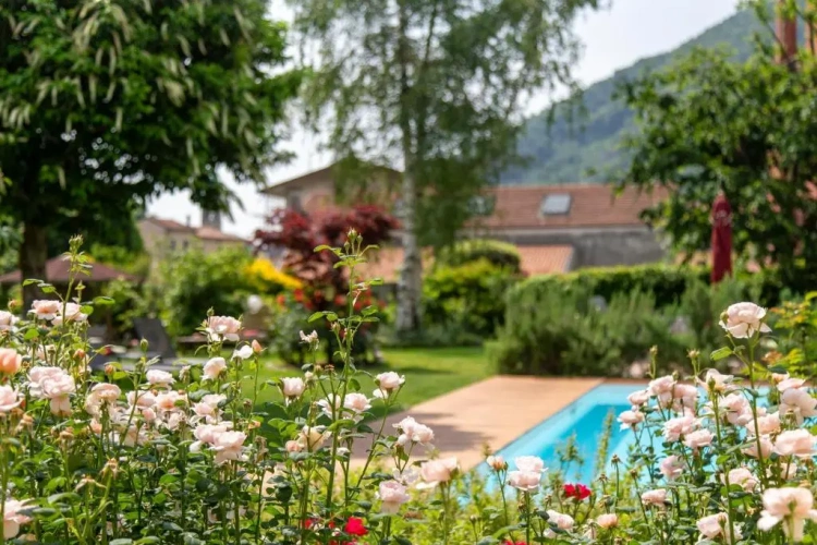 Standard Double room with garden view