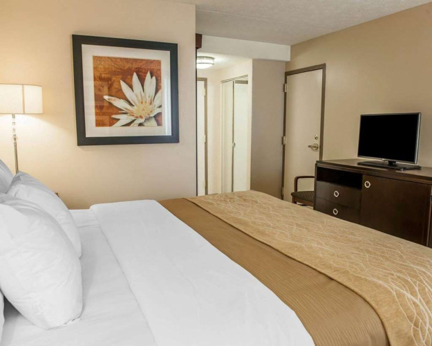 Comfort Inn