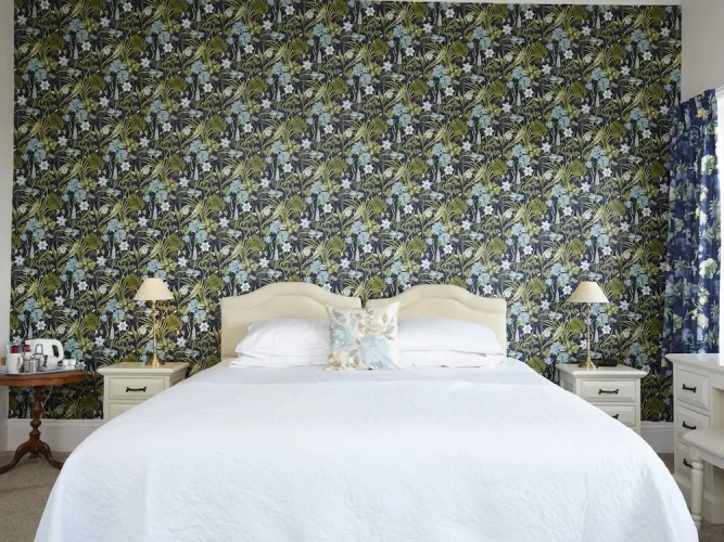 Deluxe Double room with balcony and with view
