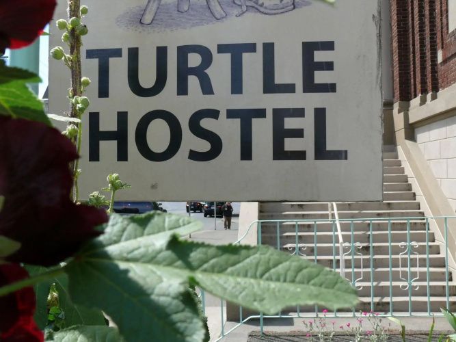Turtle Hostel