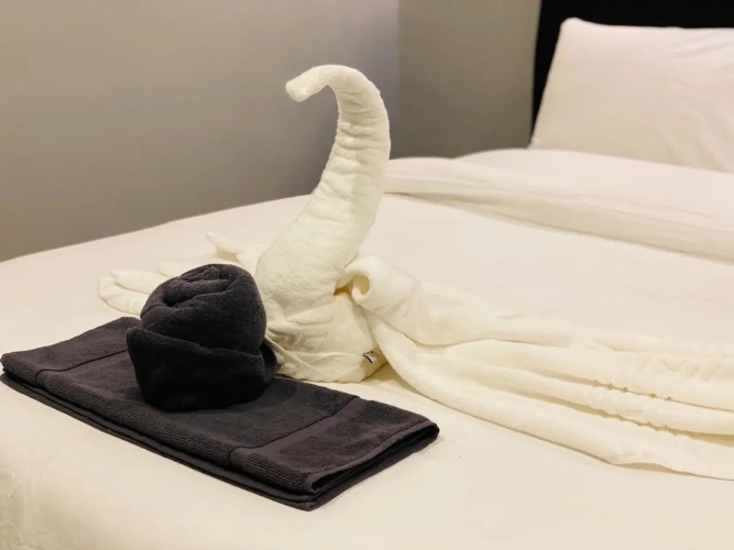 Deluxe Single room