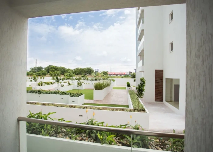 1 Bedroom Apartment