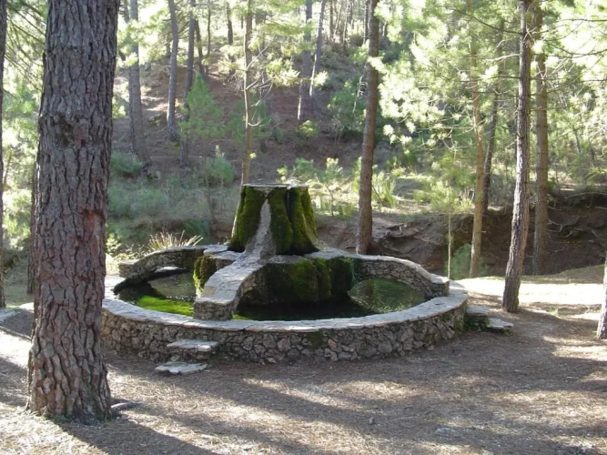 Torre Blanca