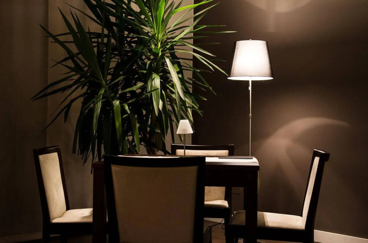 Zara Rooms & Suites