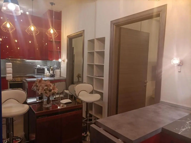 Elegant Apartment