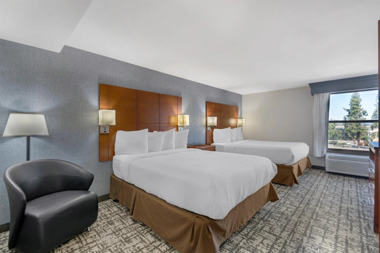 Quadruple Suite