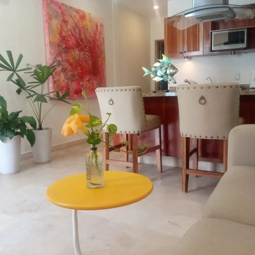 Luxury Apartment