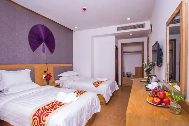 Superior Twin room with city view