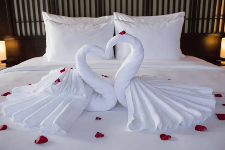 Scarlet Pearl Cruises