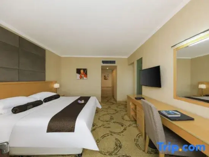Executive Single Suite