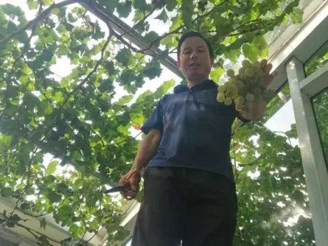 Beijing Xiaoyuan Homestay