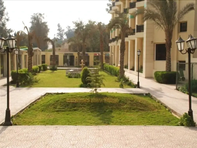 Pyramids View