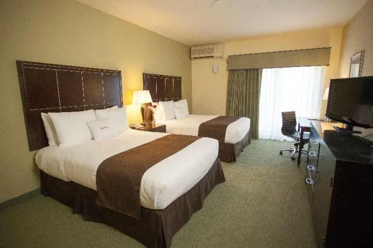 Standard Twin room with balcony and with bay view