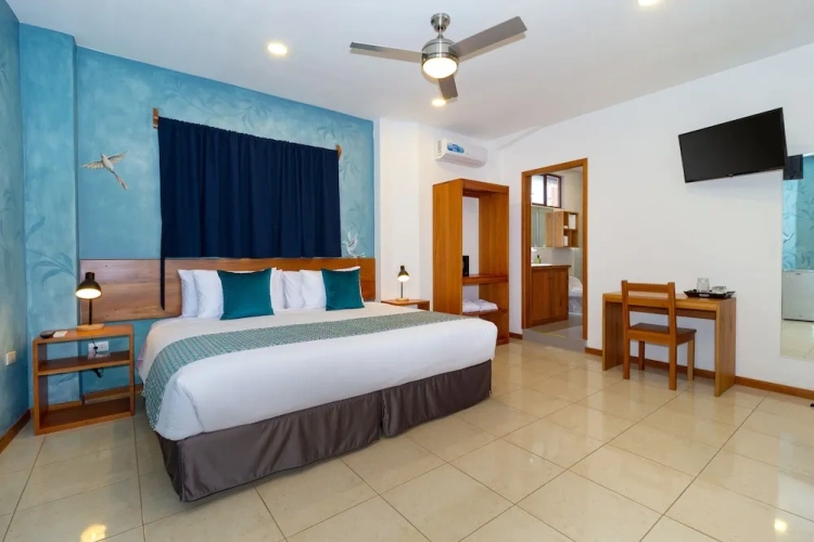 Superior Single room