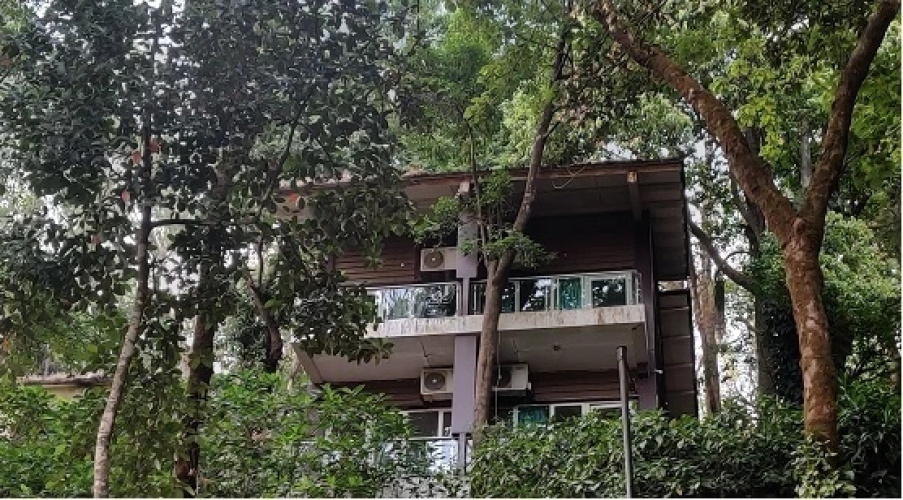 Kemmannugundi Hill Resort by Jungle Lodges