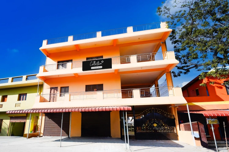 Collection O Auroville Pondicherry