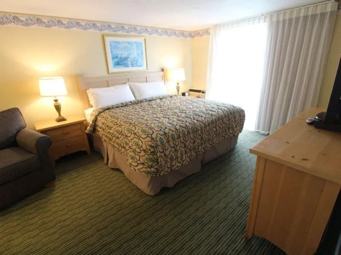 1 Bedroom Suite