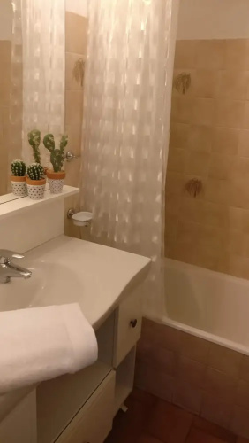 Face à la Cité : appartement avec cour !