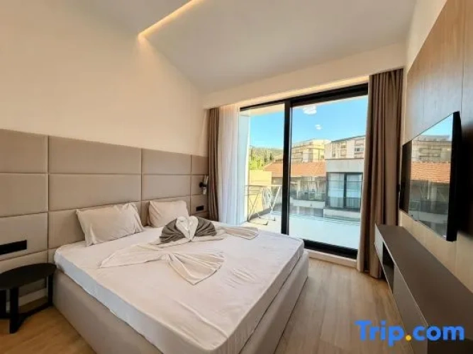 Luxury Apartment