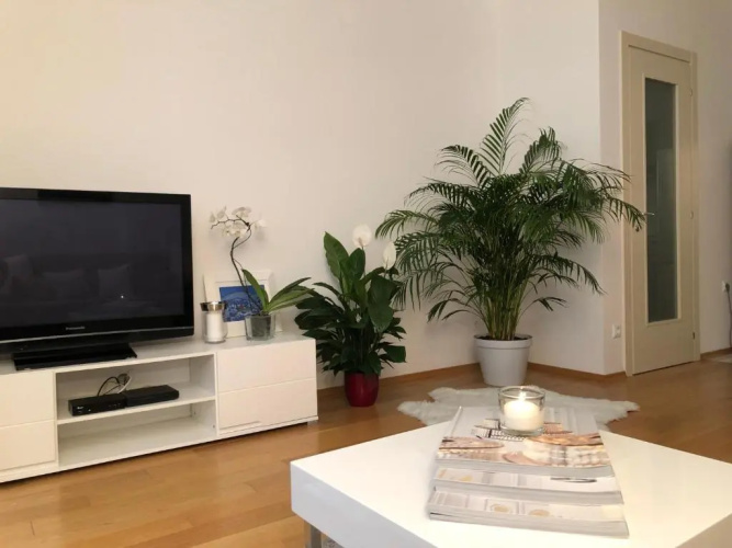 Apartment Charming