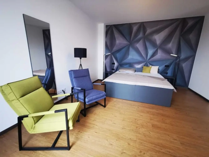 1 Bedroom Superior Basement Studio