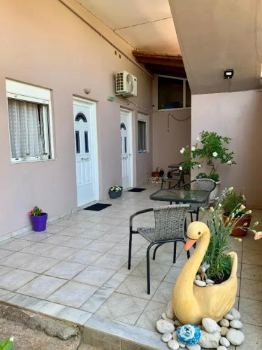 Zygas House