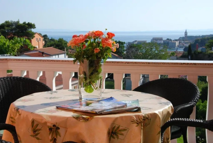 Basement Apartment with view