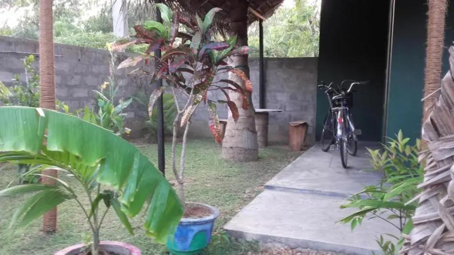 Green House Yala