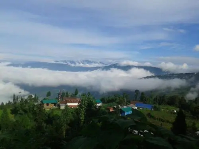 Vamoose Kunga Delek