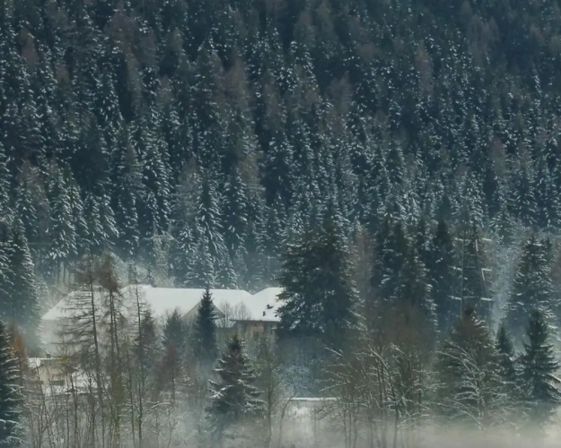 Il Campanile in Tem