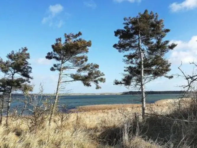 Holiday home Martofte IV