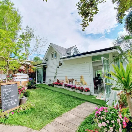 Baan JaoKorKluay บ้านเจ้ากอกล้วย