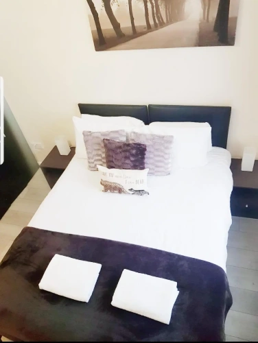 Deluxe Double room with garden view