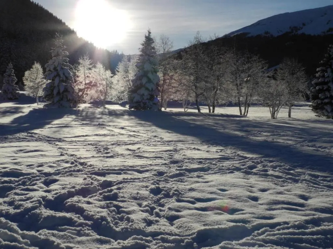 SHIMA-Davos