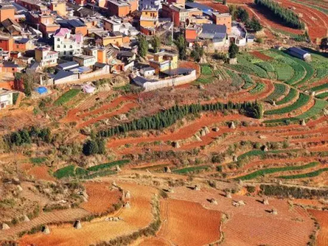 Red Land Wangcai Resort