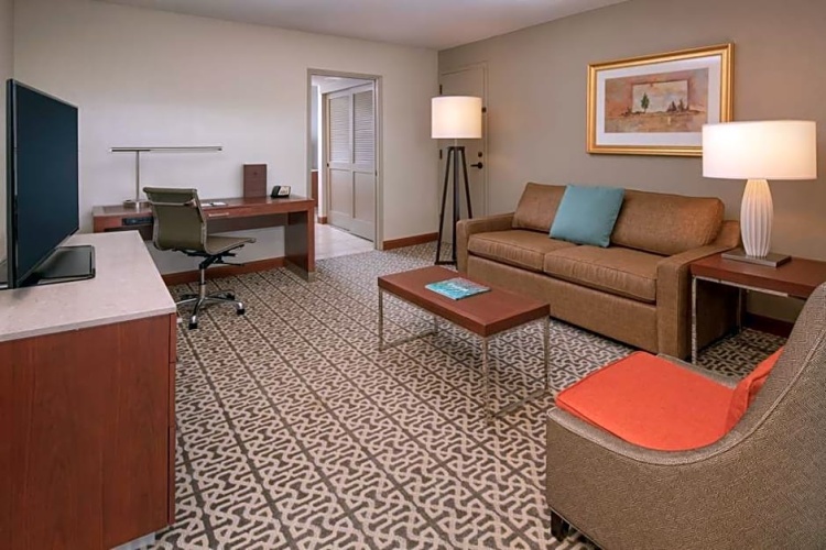 1 Bedroom Suite