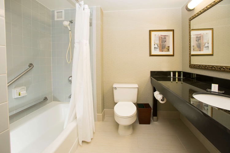 DoubleTree by Hilton Detroit Novi photo 10