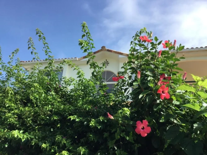 Cottage