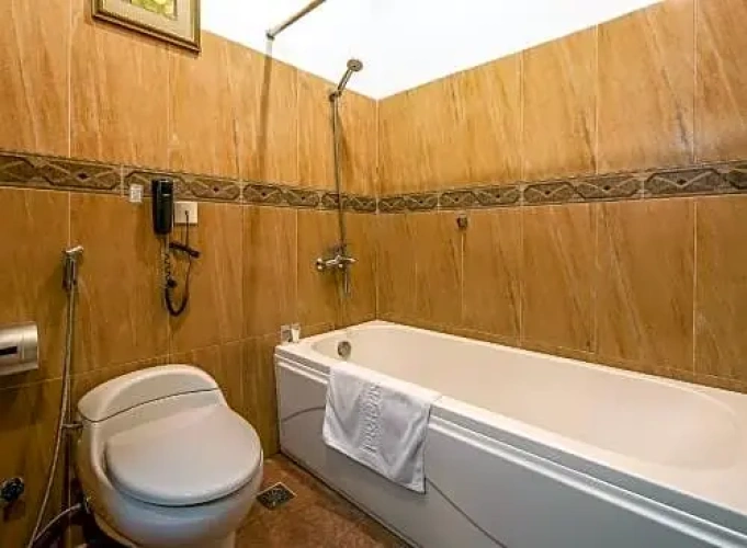 Standard Twin room with view
